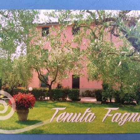Tenuta Fagnani Lucca Szoba fotó