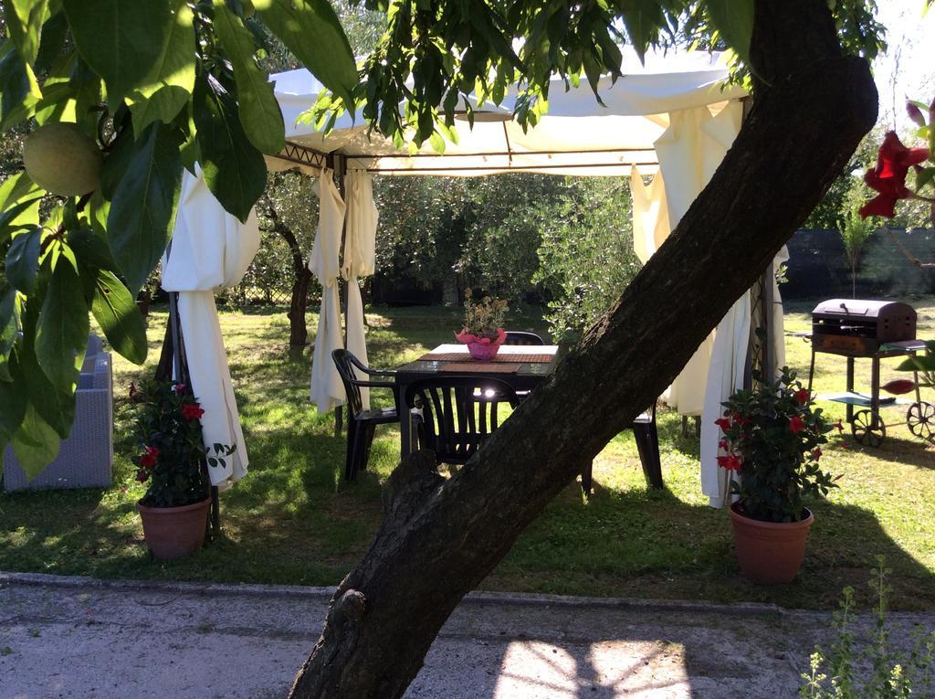 Tenuta Fagnani Lucca Kültér fotó