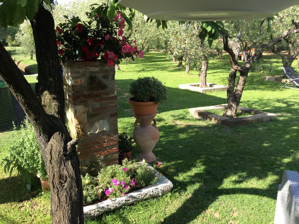 Tenuta Fagnani Lucca Kültér fotó