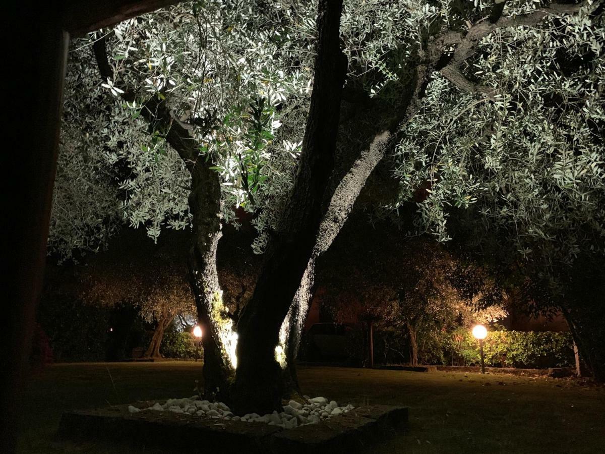 Tenuta Fagnani Lucca Kültér fotó