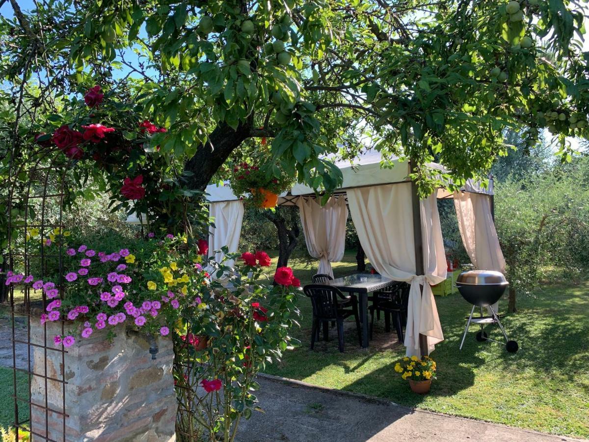 Tenuta Fagnani Lucca Kültér fotó
